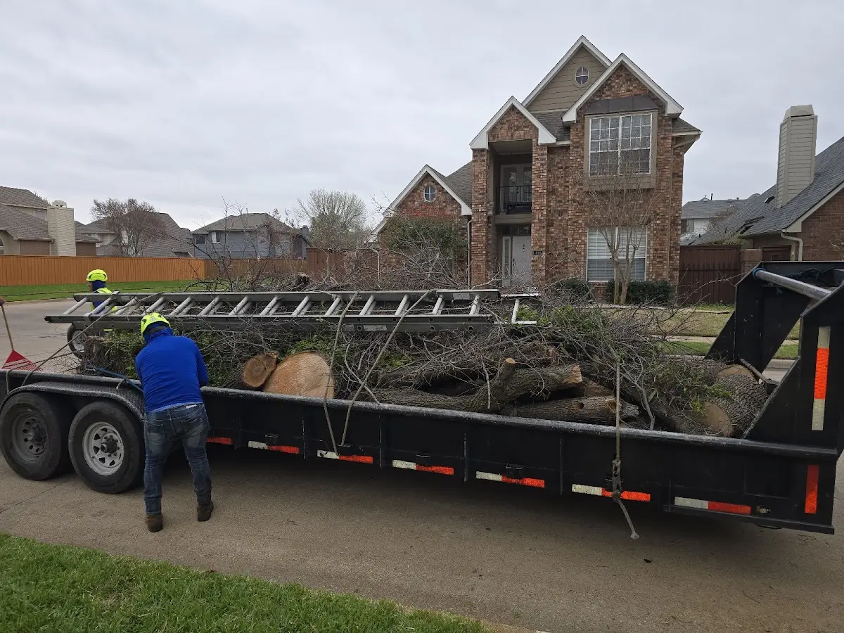 Expert Tree Fertilization with proper safety equipment in Triumph